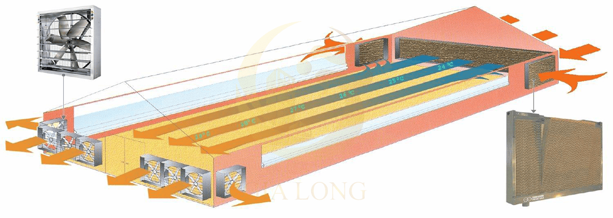 Hệ thống thông gió làm mát nhà xưởng bằng tường cooling pad và quạt hút công nghiệp